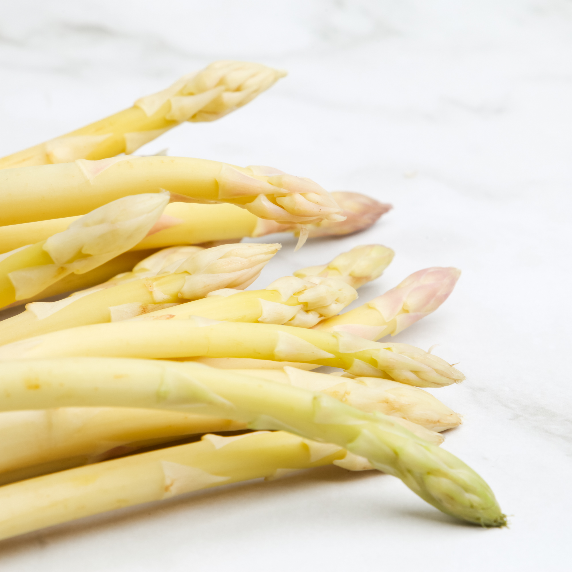 Organic White Asparagus